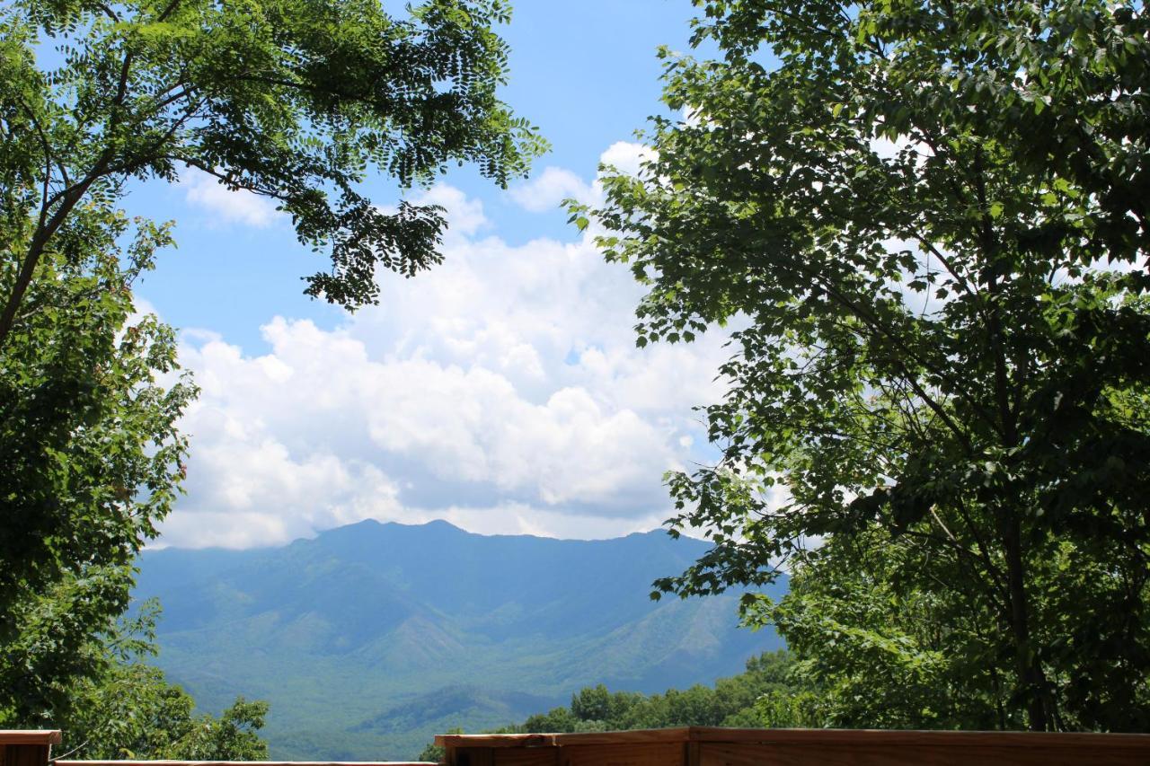 Villa Hummingbird à Gatlinburg Extérieur photo